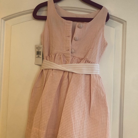 Ralph Lauren Polo Little Girls Pink Dress Size3/3T - Picture 3 of 3